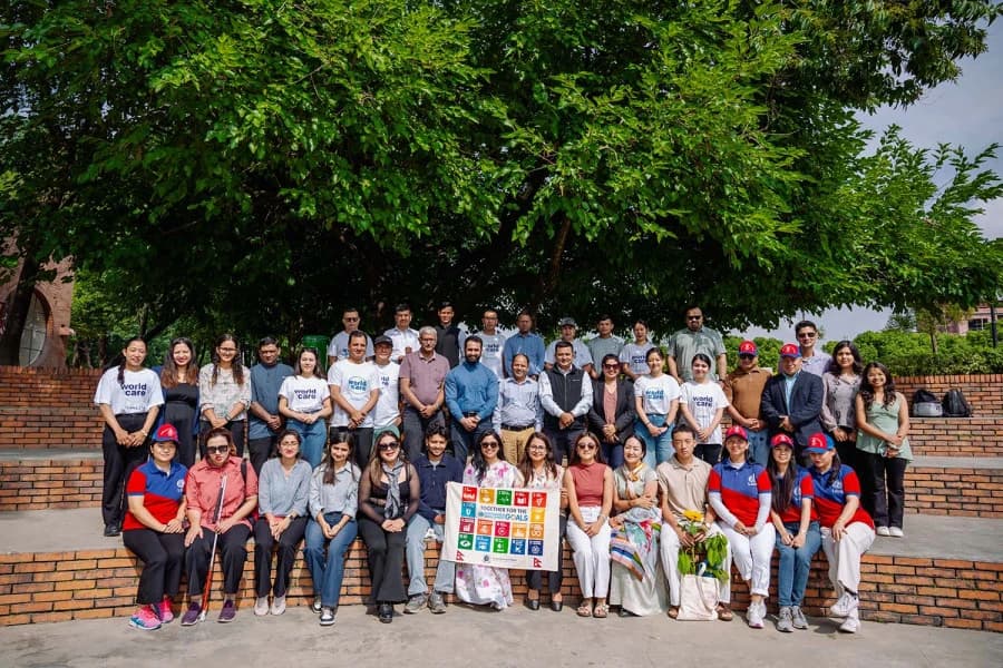 Tree of the Year — photo 1