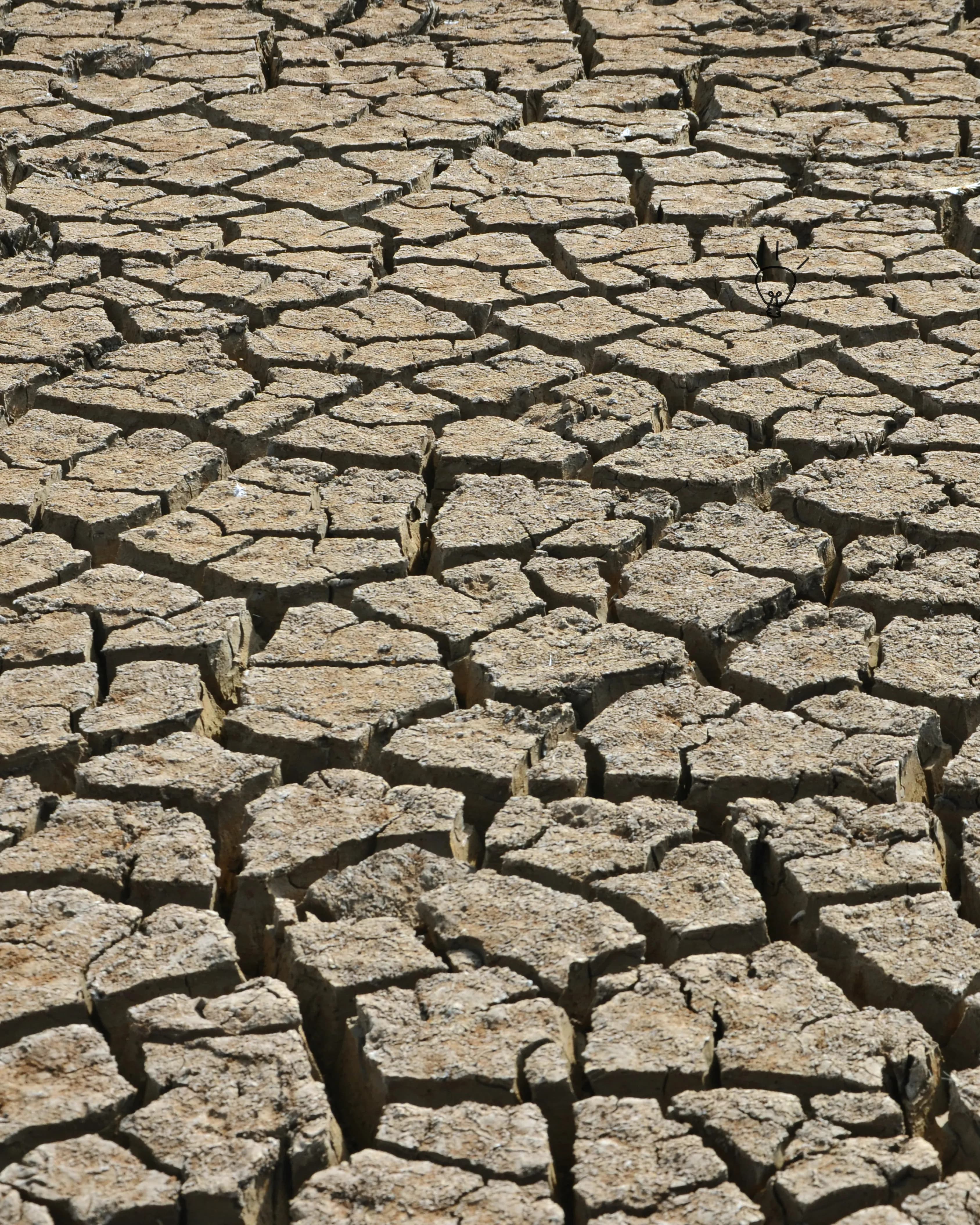 Acting on Climate for a Resilient Future